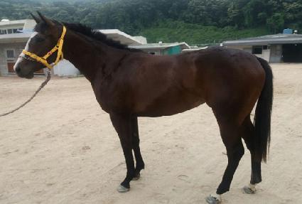 �ػ��� ����