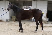 �׸���� (GREEN SARANG) ����