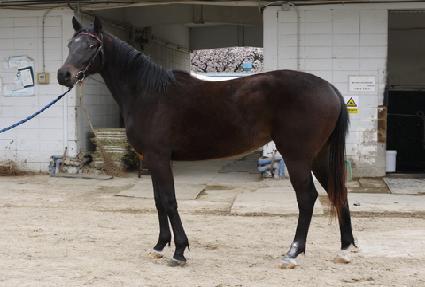 �׸���� ����