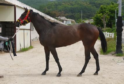 �̽��ֶ� ����