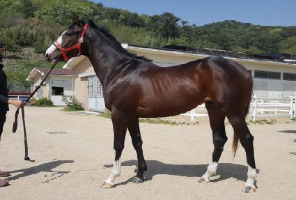 �����̵��� ����