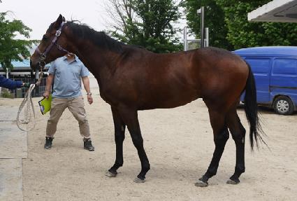 ������ ����