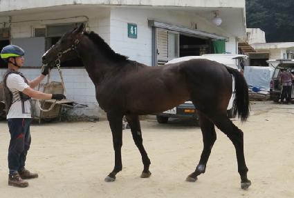 �������� ����