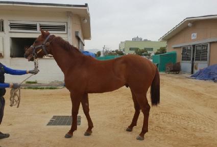 �⸶�δ��� ����