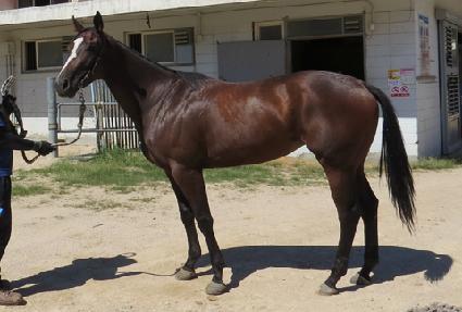 ī��Ʈ���̽� ����