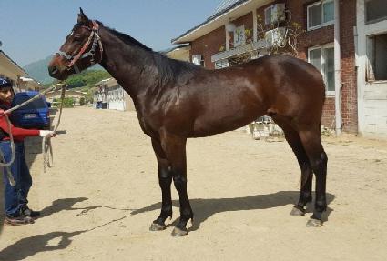 �����帱�� ����