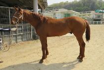 ��½��ڶ� (RAON STELLA) ����