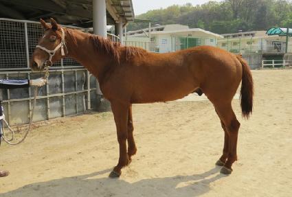 ��½��ڶ� ����