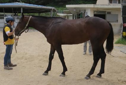 ������̾� ����