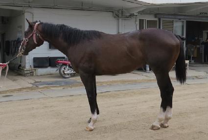 ������ǰ ����