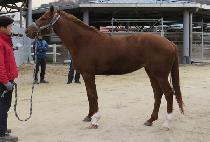 �۾϶�Ǭ�� (SONGAM RAPUNZEL) ����