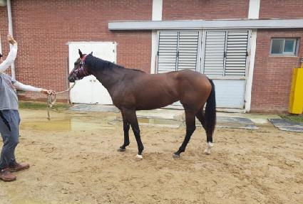 ����ҳ� ����