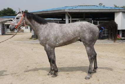 ��Ŭ������� ����