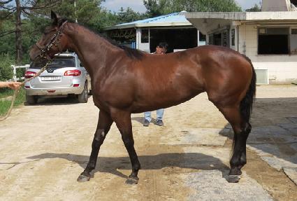 �˵��ٶ� ����