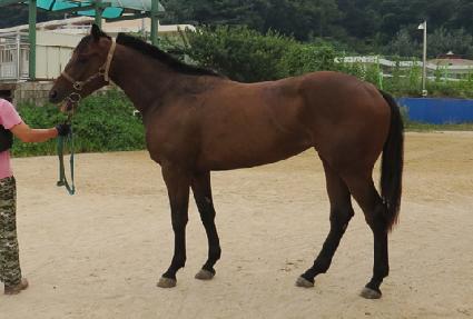 ��ġ�� ����