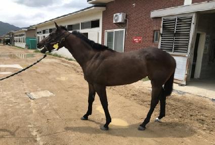 ��Ű ����