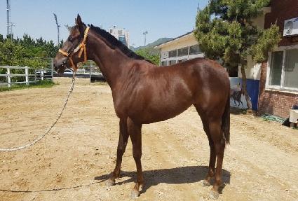 �����ö��� ����