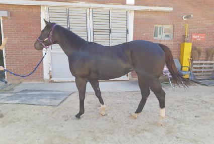 �λ꿡���� ����