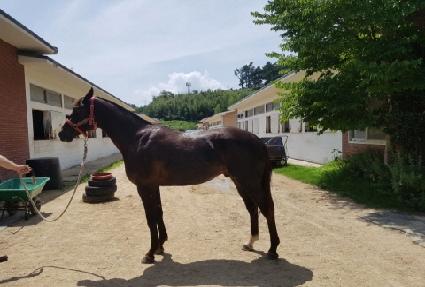 ���潺�ڽ� ����