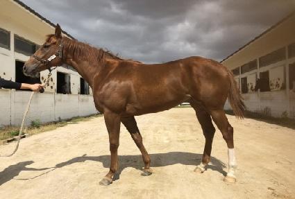 ��������� ����