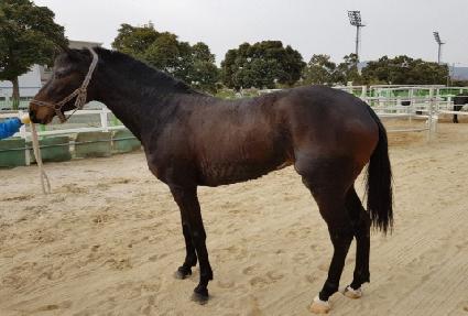 �������� ����