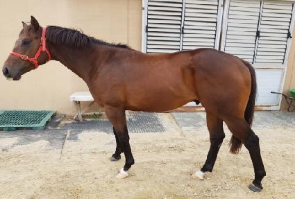 �������ǳ� ����