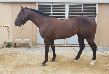 ����ĭ ����