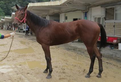 ����游 ����