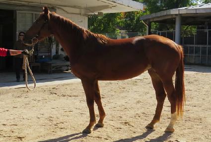 �ְ����� ����