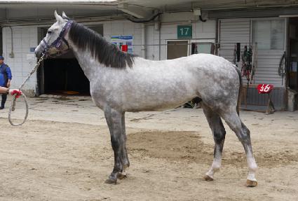 ��ŷ�� ����