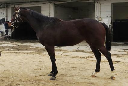 ����Ʈ�÷��� ����