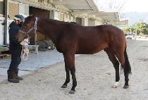 �Ⱦ���Ծ� (ANYANG JAGUAR) ����