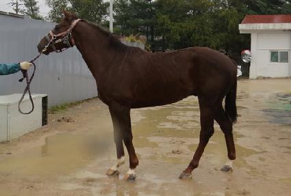 ������� ����