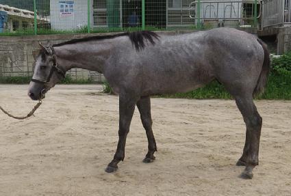 ���غ���Ʈ ����