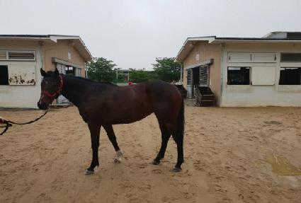 �����¡è�� ����