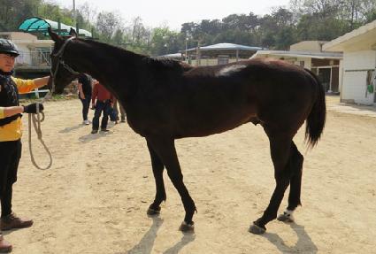 ��º���̾� ����