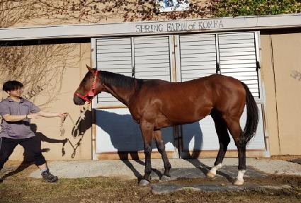 �Ｚ���� ����