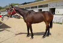 Ȧ�������ĸ� (HOLIDAY PARIS) ����