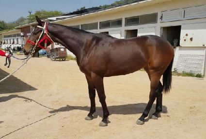 Ȧ�������ĸ� ����