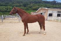 ������� (JANGSAN JOY) ����