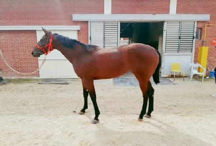 ������� ����