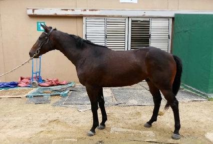 �λ���� ����