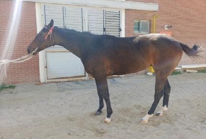 �����Ŀ� ����