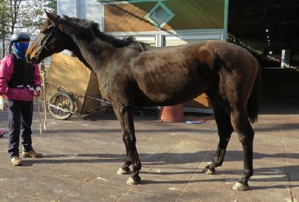 �����Ͻ� ����