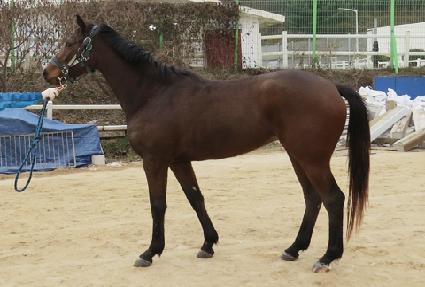 �������ϵ� ����