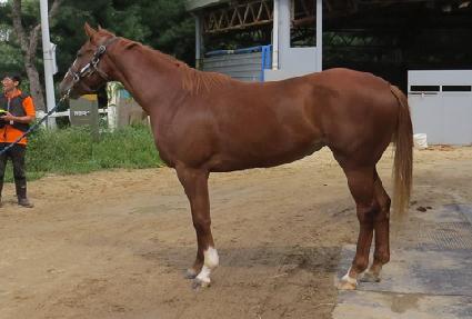 ���丮���� ����