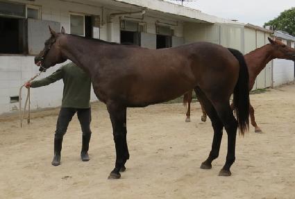 �ٻ����ʴ� ����