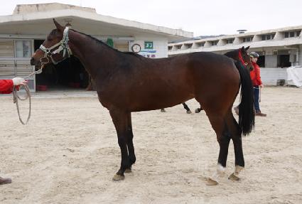 �Ӵ����� ����