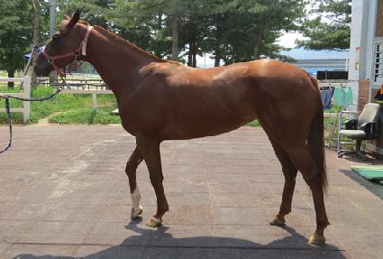 ��ο��� ����