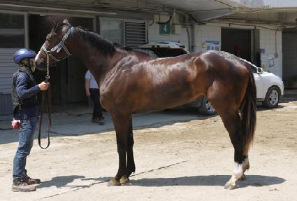 ���ξ��ø�ũ ����